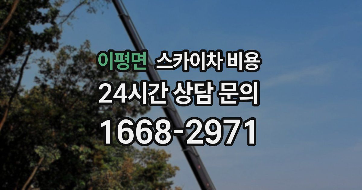 이평면 스카이차 비용