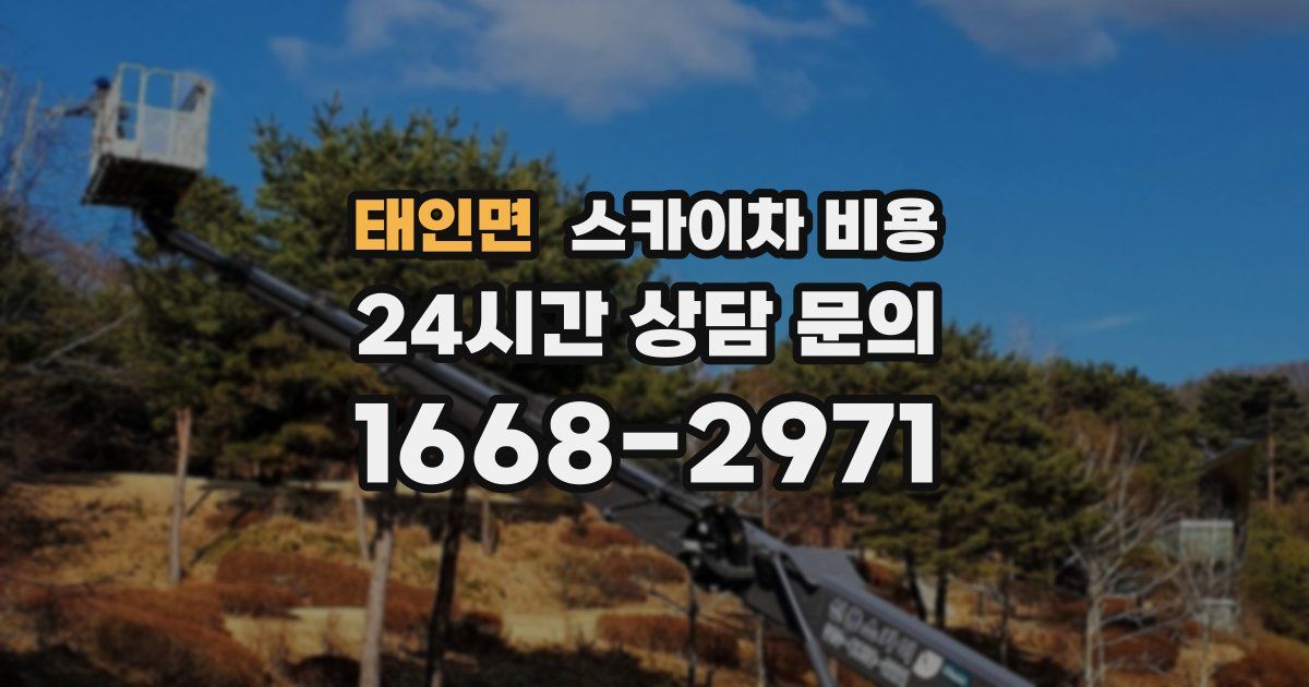 태인면 스카이차 비용