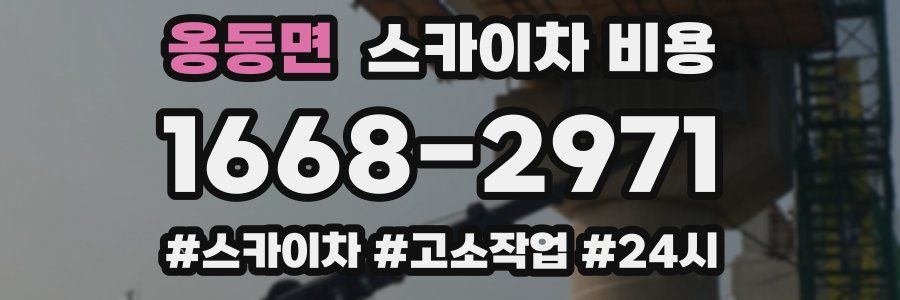 옹동면 스카이차 비용