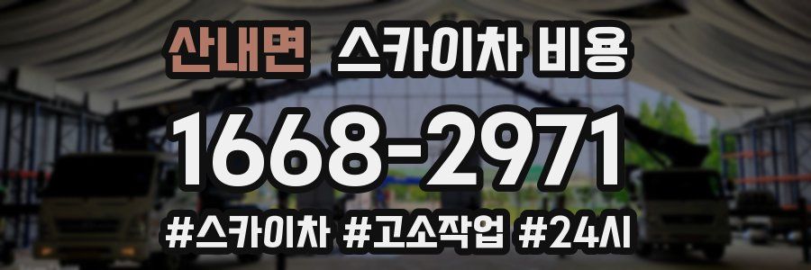 산내면 스카이차 비용