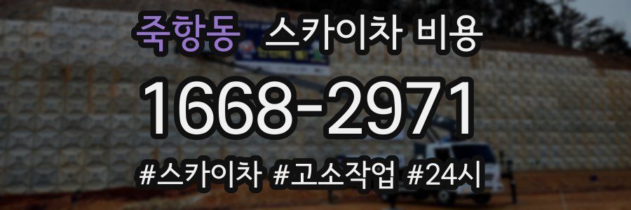 죽항동 스카이차 비용