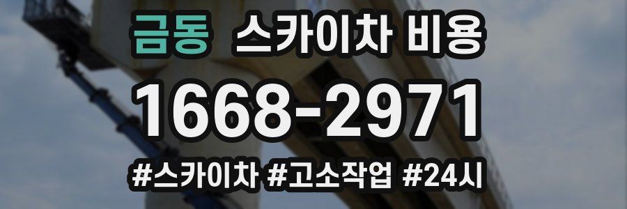 금동 스카이차 비용