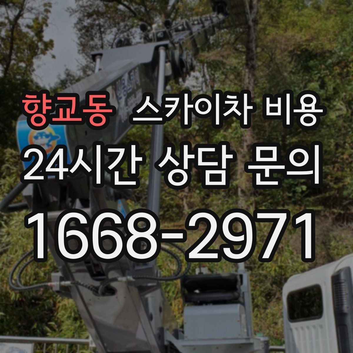 향교동 스카이차 비용 가로수·간판·전선이 동선을 막을 때