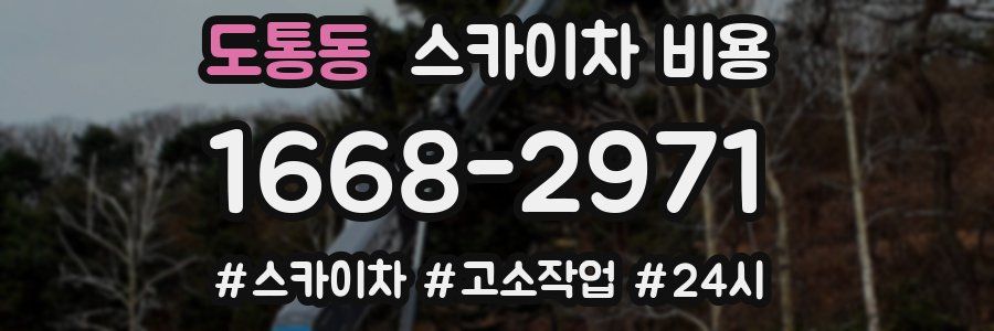 도통동 스카이차 비용