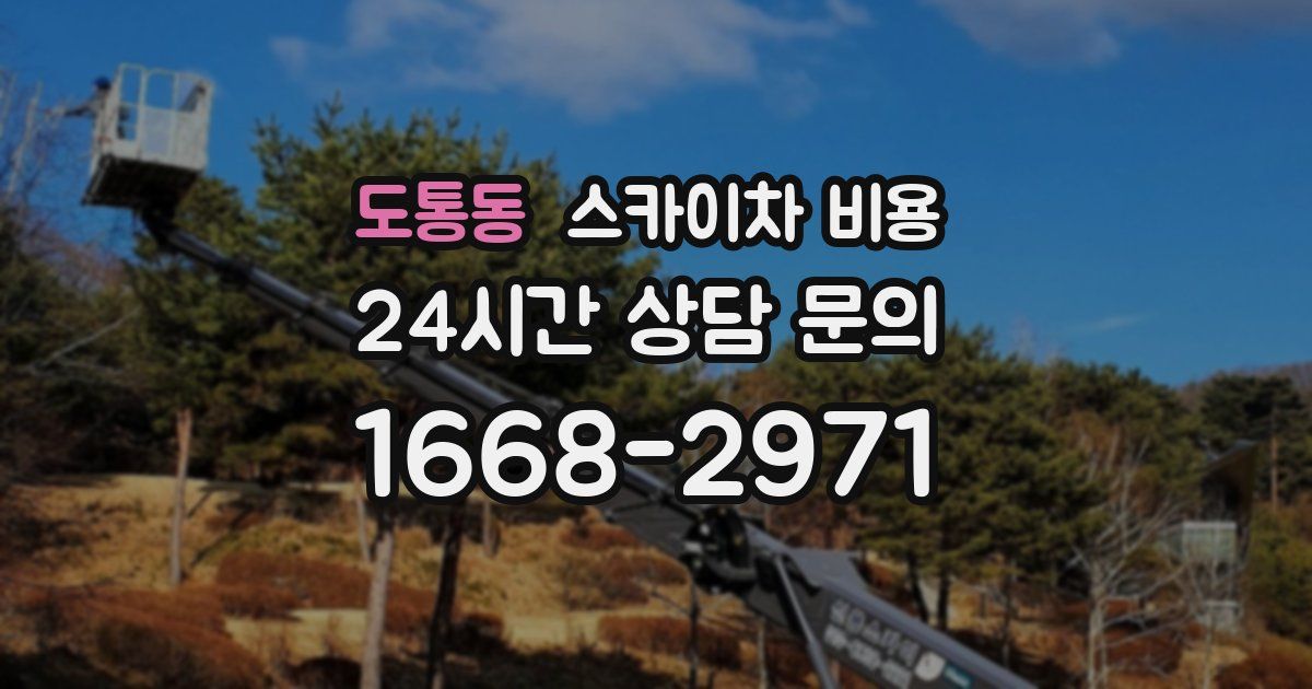 도통동 스카이차 비용