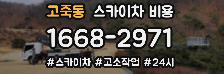 고죽동 스카이차 비용