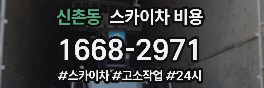 신촌동 스카이차 비용
