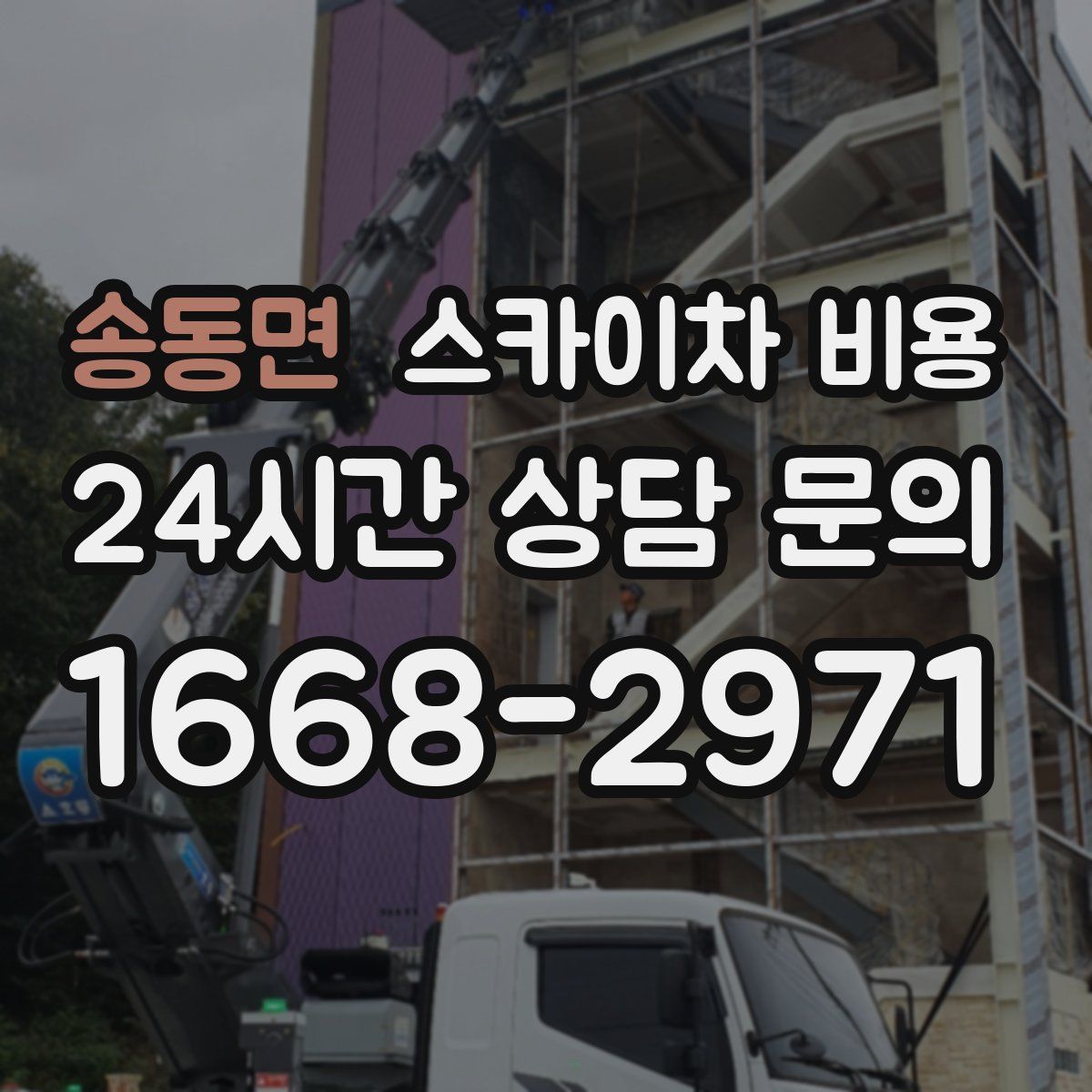 송동면 스카이차 비용