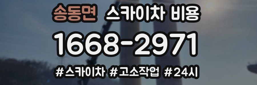 송동면 스카이차 비용