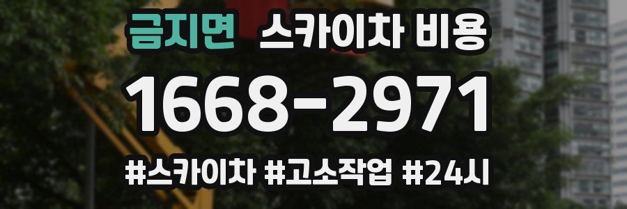 금지면 스카이차 비용