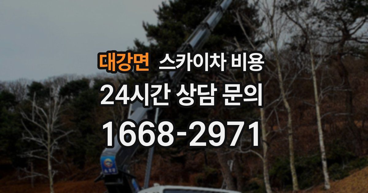 대강면 스카이차 비용