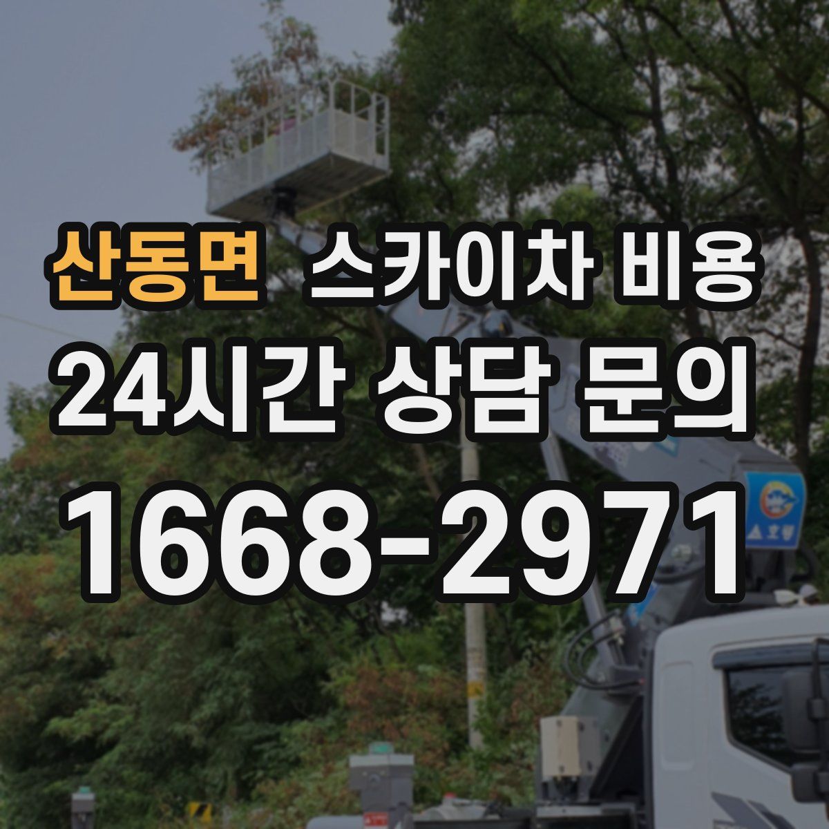 산동면 스카이차 비용