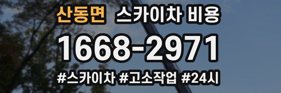 산동면 스카이차 비용