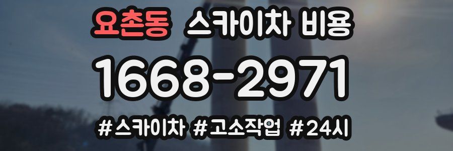 요촌동 스카이차 비용