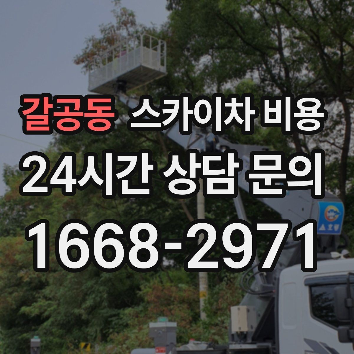 갈공동 스카이차 비용 보행자 통제까지 필요하면 어떤 준비가 필요할까