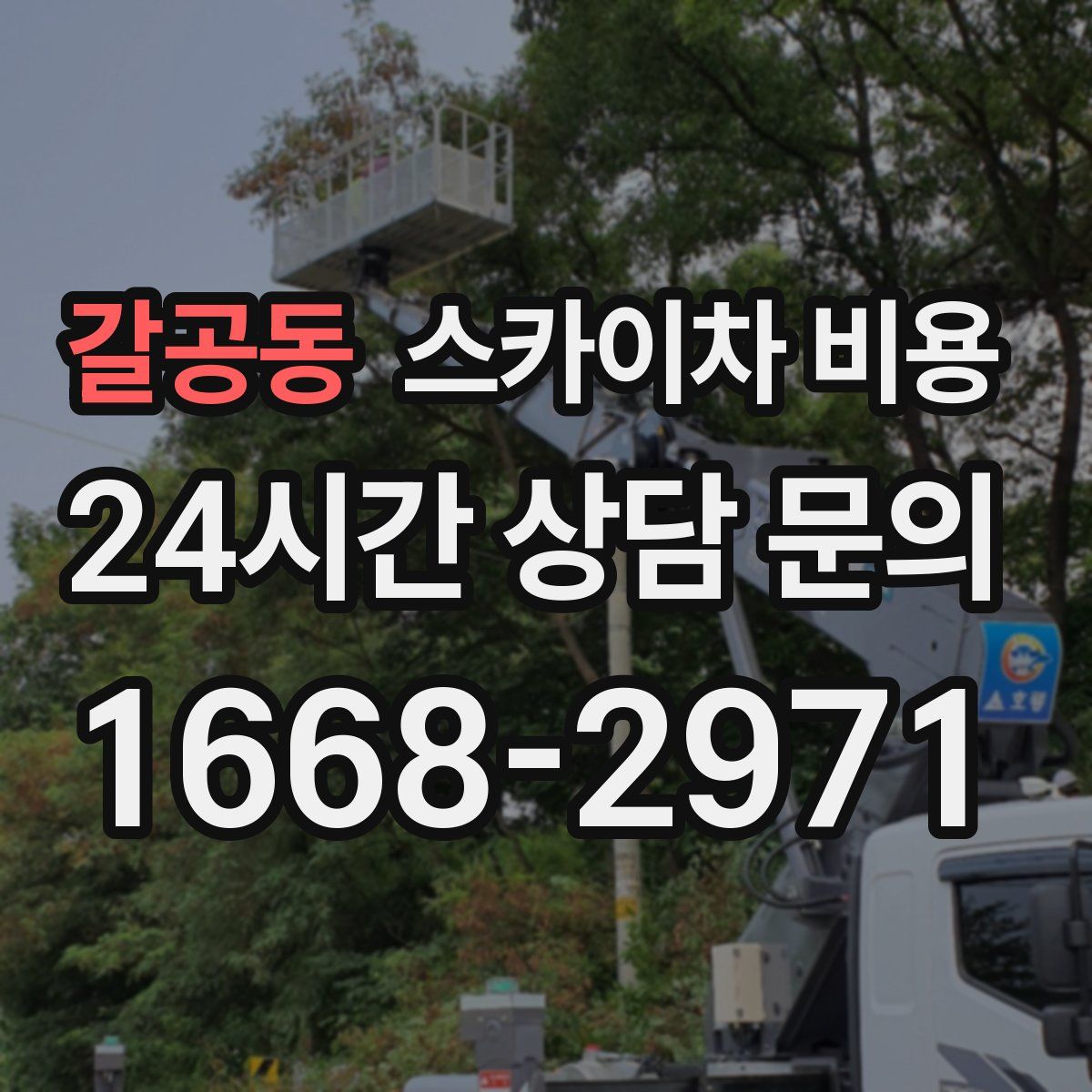 갈공동 스카이차 비용