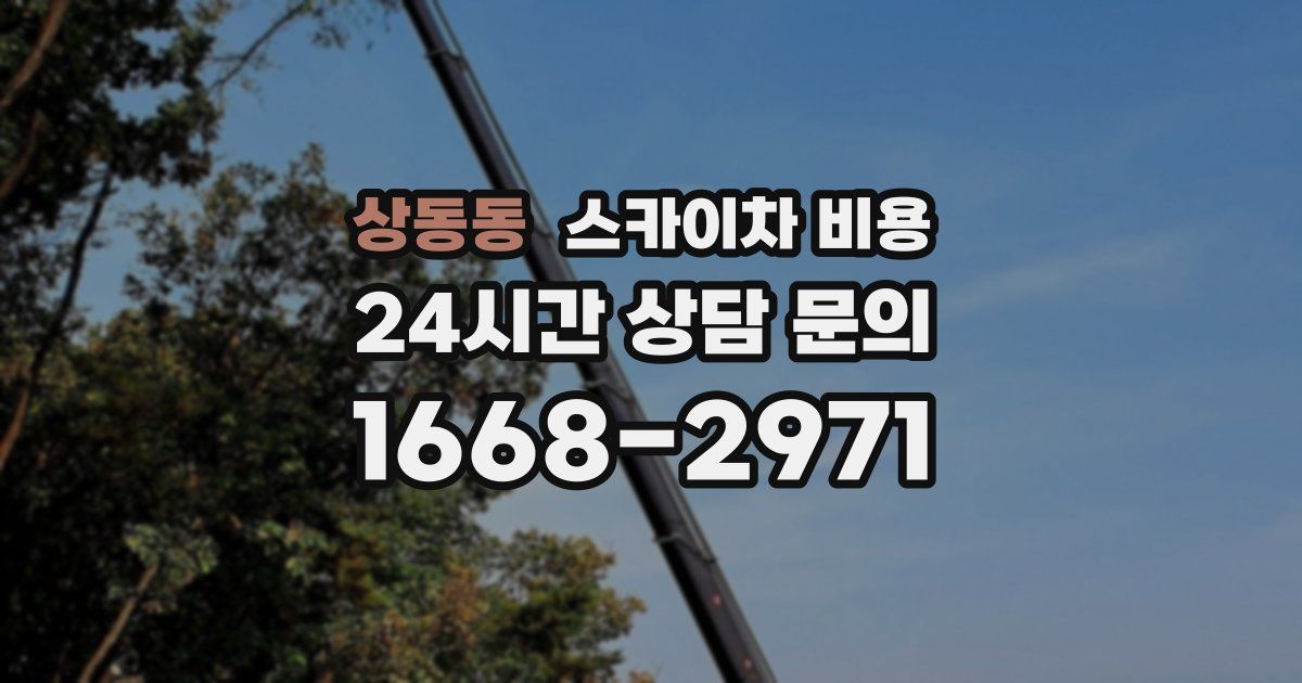 상동동 스카이차 비용