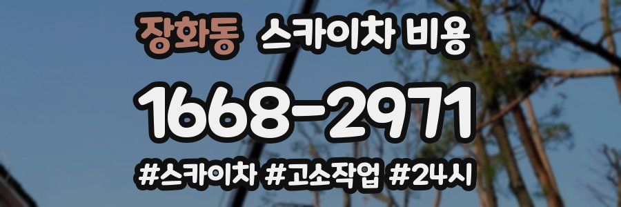장화동 스카이차 비용