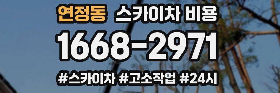 연정동 스카이차 비용