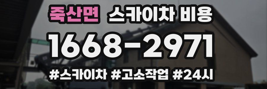 죽산면 스카이차 비용