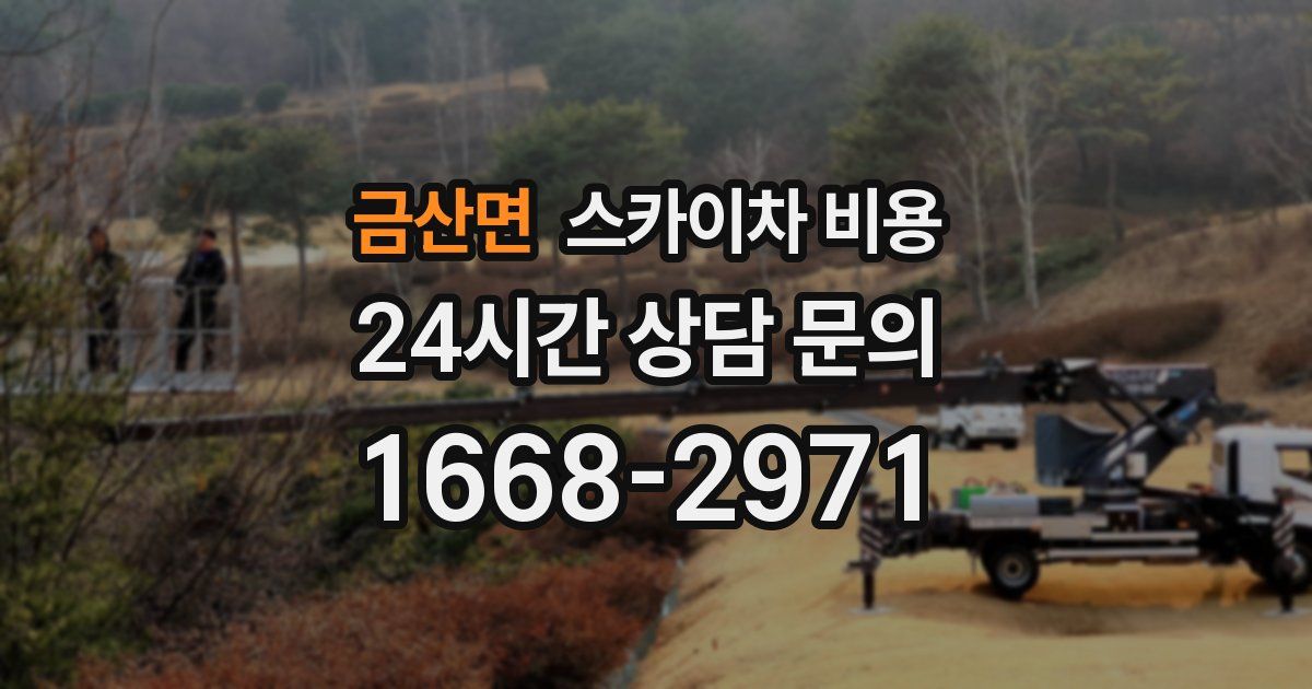 금산면 스카이차 비용