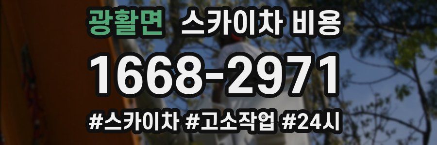 광활면 스카이차 비용