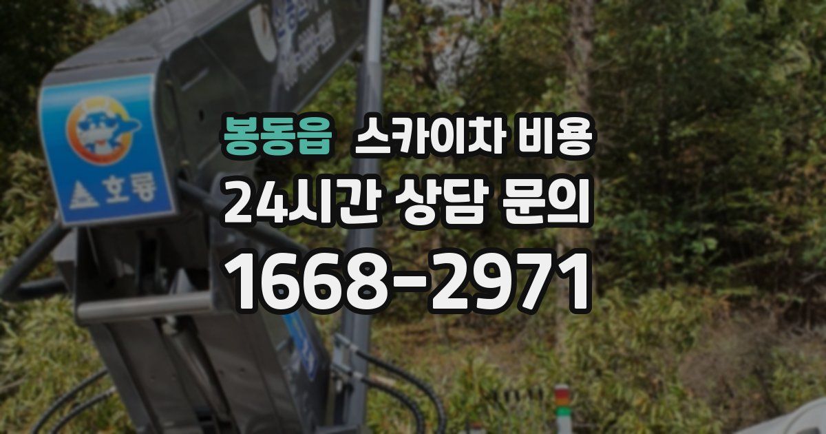 봉동읍 스카이차 비용