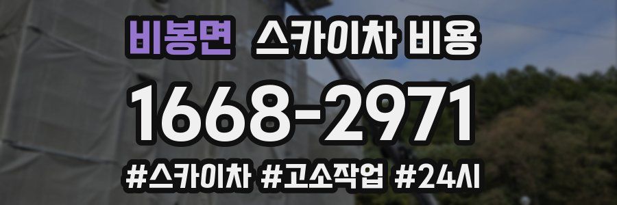 비봉면 스카이차 비용