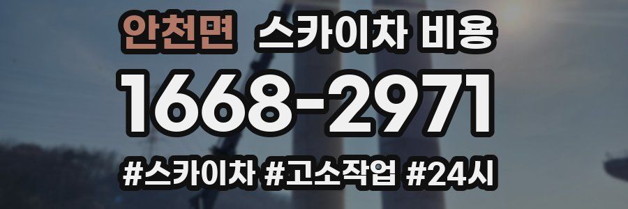 안천면 스카이차 비용