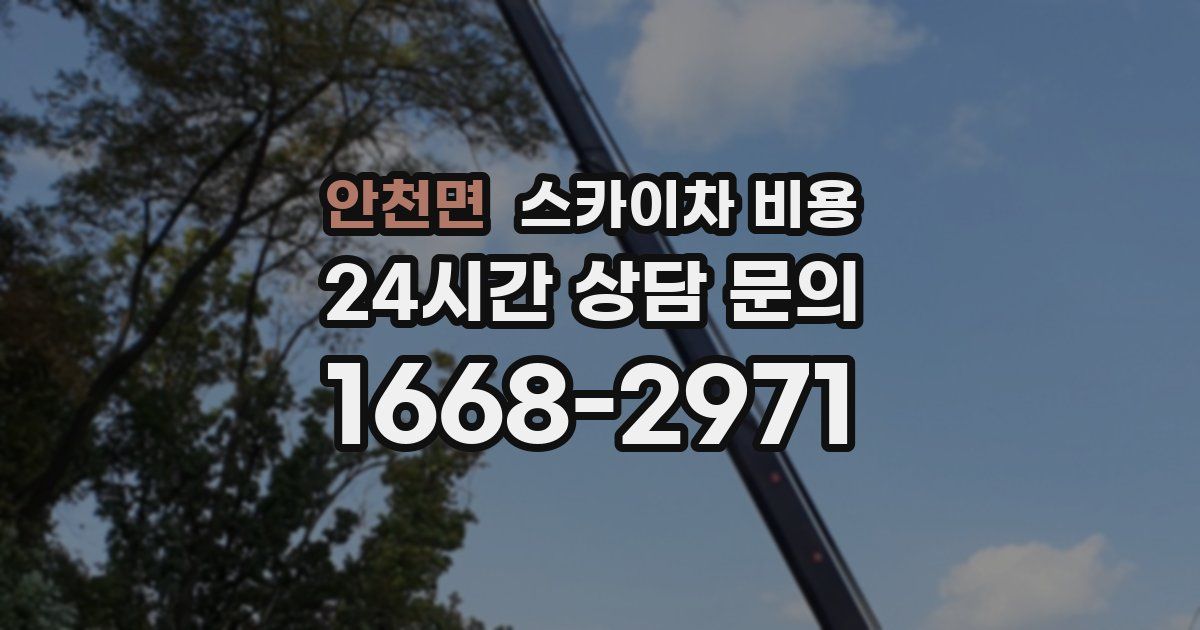 안천면 스카이차 비용