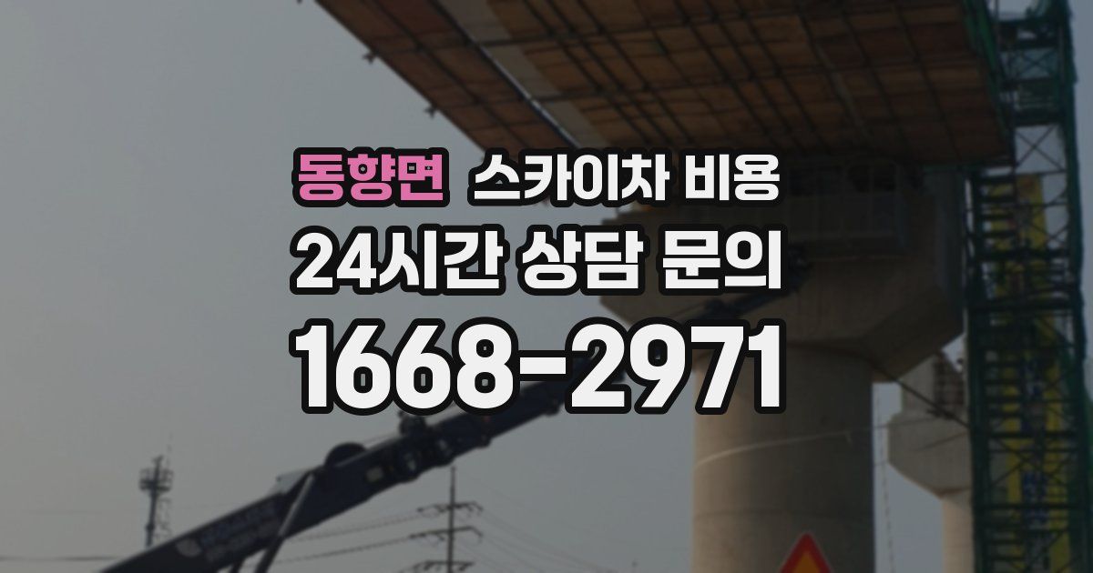 동향면 스카이차 비용