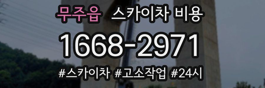 무주읍 스카이차 비용