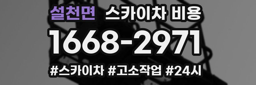 설천면 스카이차 비용