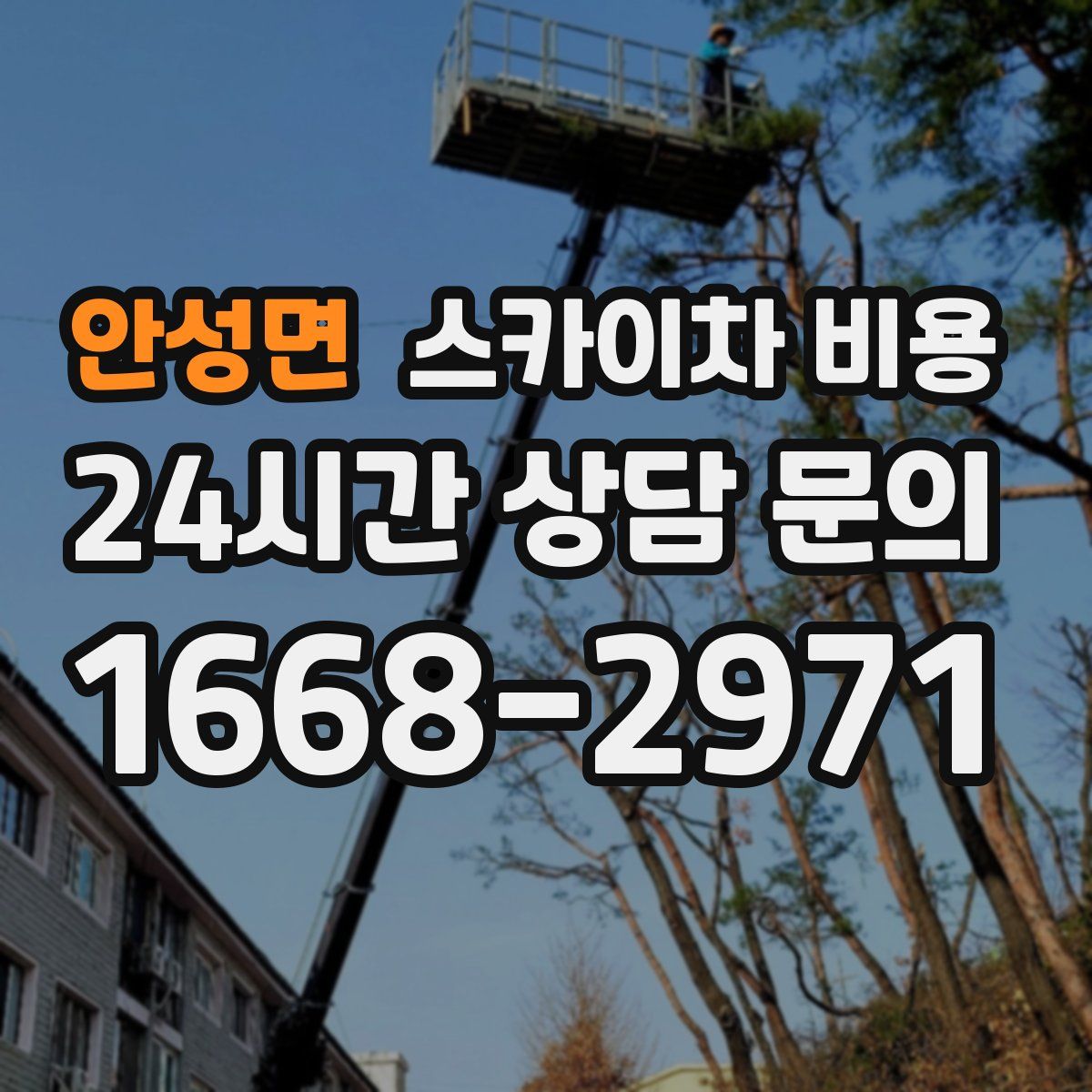 안성면 스카이차 비용