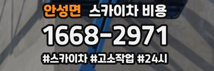 안성면 스카이차 비용