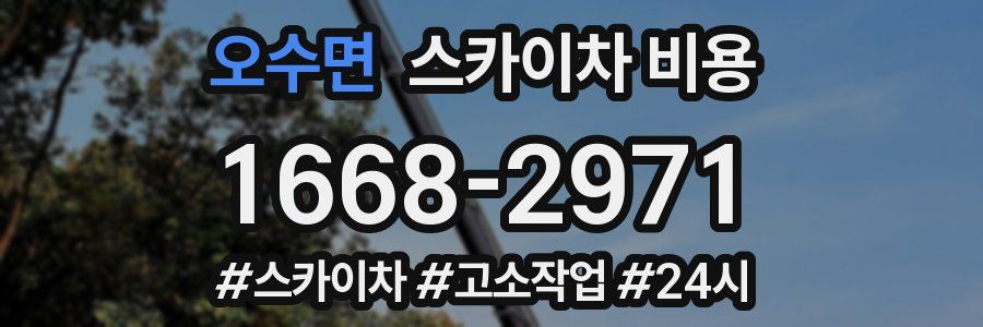 오수면 스카이차 비용