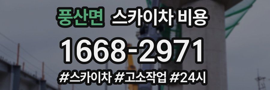 풍산면 스카이차 비용