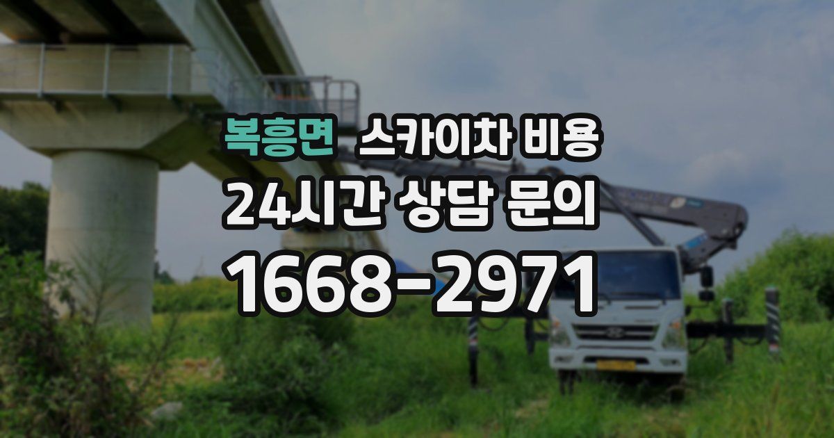 복흥면 스카이차 비용