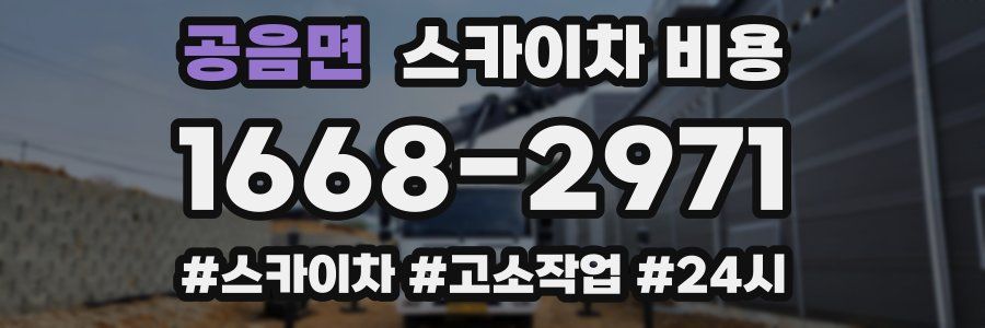 공음면 스카이차 비용