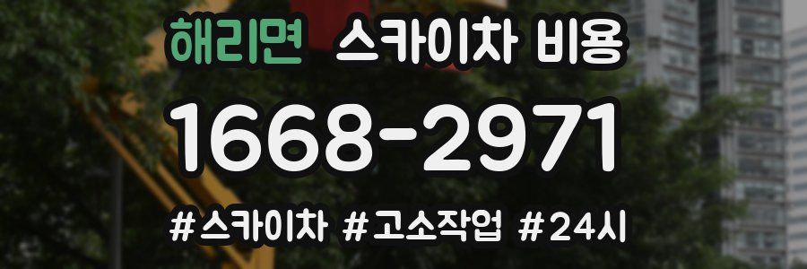 해리면 스카이차 비용