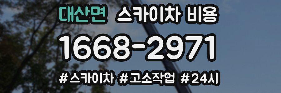 대산면 스카이차 비용