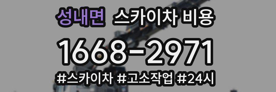 성내면 스카이차 비용