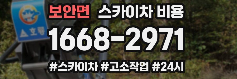 보안면 스카이차 비용