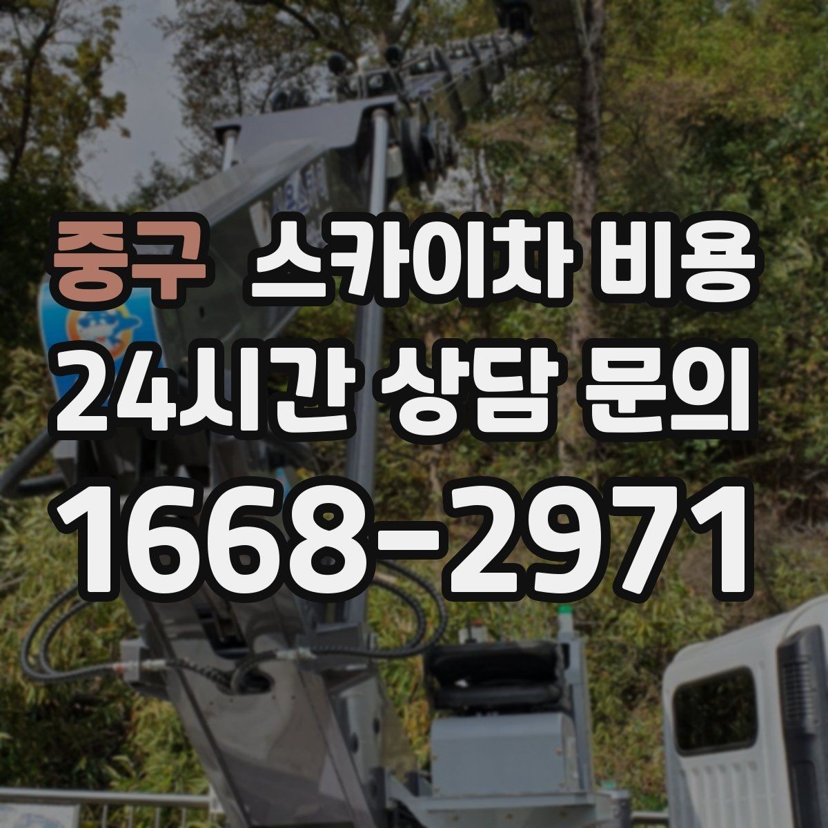 중구 스카이차 비용 같은 높이인데 견적 차이가 나는 이유