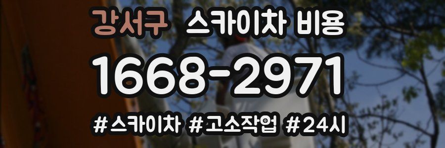 강서구 스카이차 비용