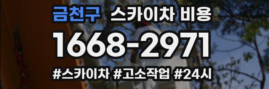 금천구 스카이차 비용
