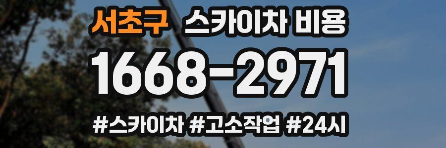 서초구 스카이차 비용