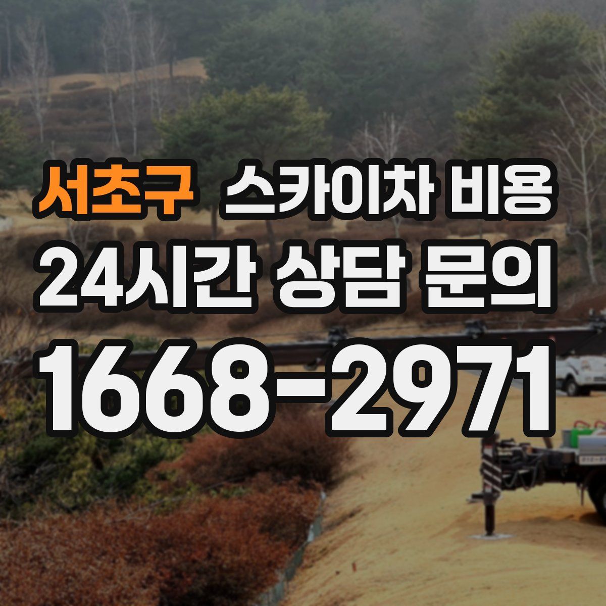 서초구 스카이차 비용