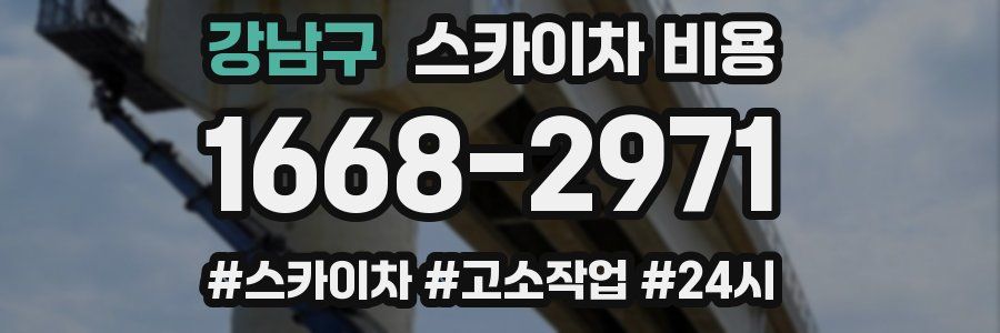 강남구 스카이차 비용