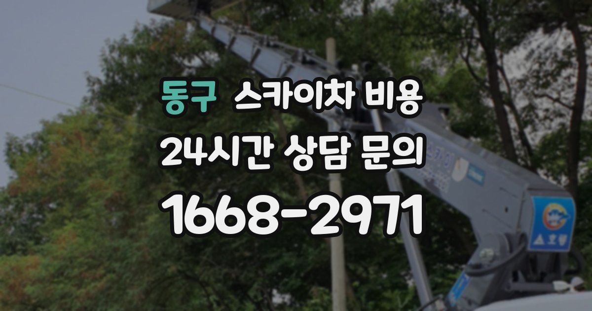 동구 스카이차 비용